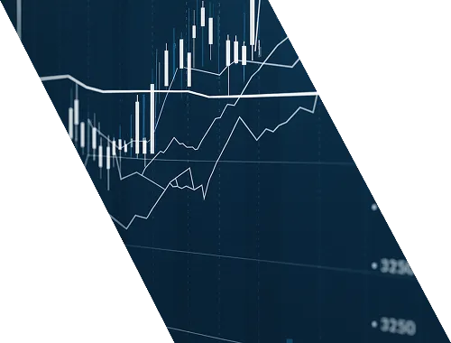 Portfolio management